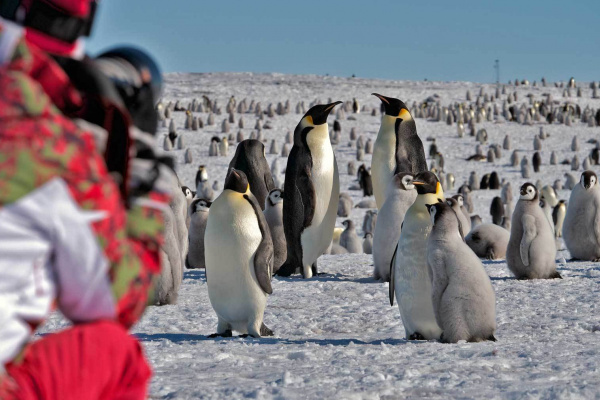 16107417922 Dd2872Fb30 O