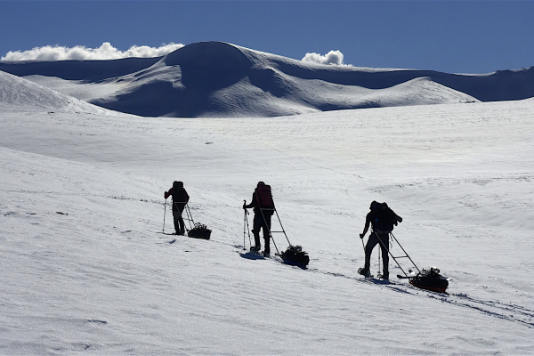 36487369290 30E9D2Beaa O